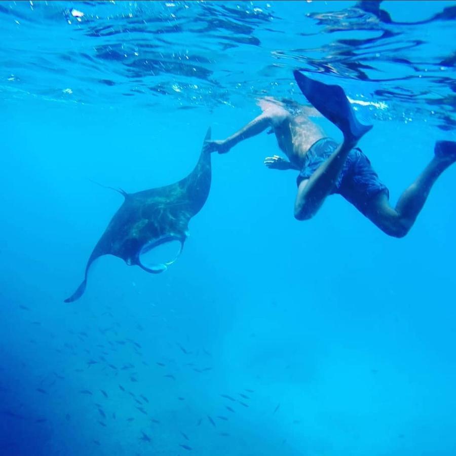 Lebaoh Nusa Cottage レンボンガン島 エクステリア 写真